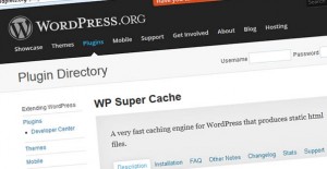 WP Super Cache Plugin